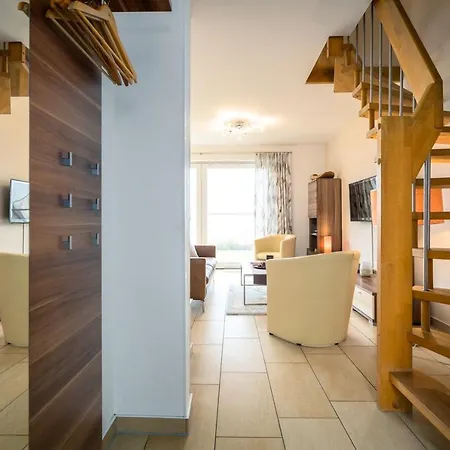 Collina 高恩莱宾